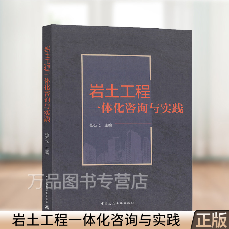 岩土工程一体化咨询与实践 杨石飞 主编 中国建筑工业出版社 9787112260195