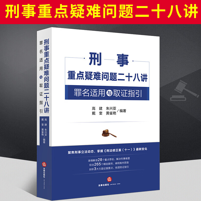 2021新 刑事重点疑难问题二十八讲 罪名适用与取证指引 高建 朱兴亚