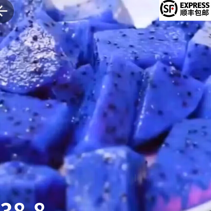 火龙果耐寒耐旱盆栽地栽四季当年结果 蓝皮蓝肉火龙果20公分高(明年结