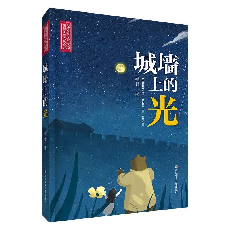 城墙上的光高性价比高么？