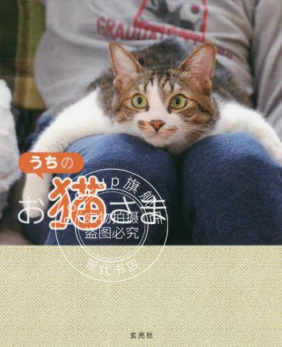 现货 进口日文 猫写真 我家的猫主子 うちのお猫さま