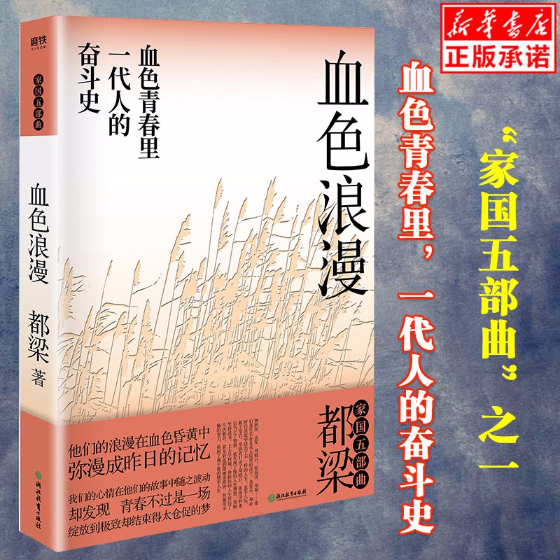 血色浪漫 2020新版 血色青春里一代人的奋斗史 都梁家国五部曲之一同名电视剧再现那个年代阳光灿烂的