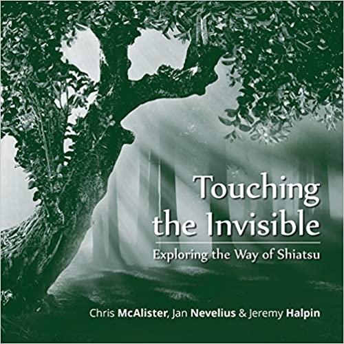 预订touching the invisible: exploring the way of shi