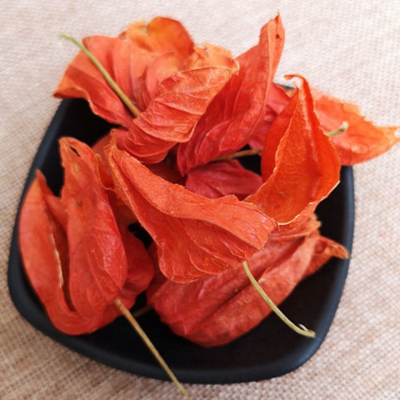 锦灯笼东北野生锦灯笼果皮中药材红姑娘皮挂金灯苦姑娘灯笼草锦灯笼