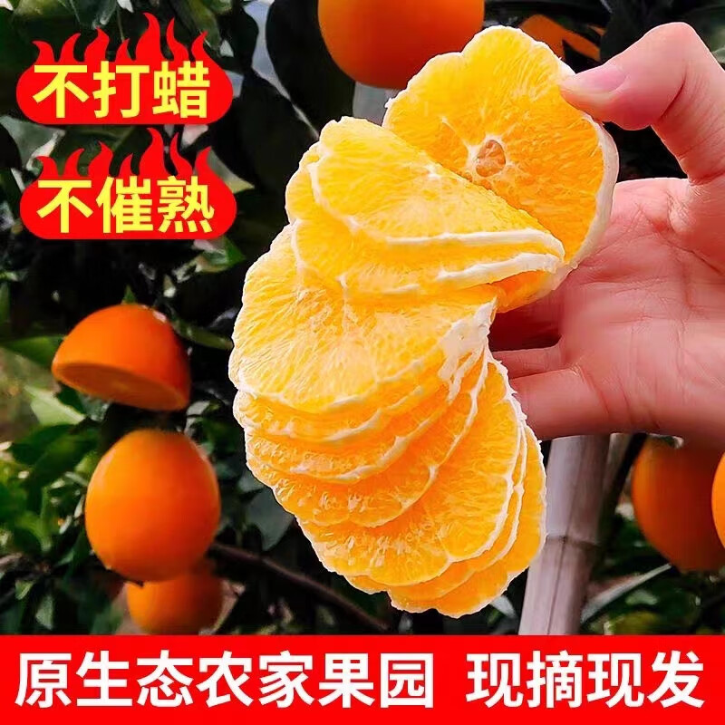 正宗奉节脐橙新鲜采摘当季高端产地直发送礼推荐 中果实惠装70-75mm 10斤正宗奉节脐橙净重9斤