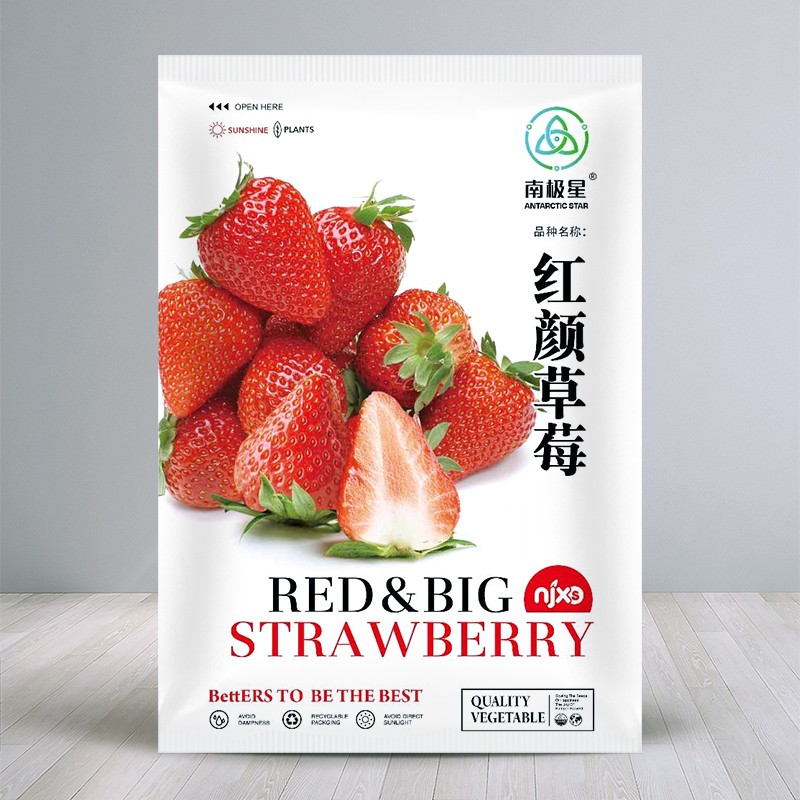 寿禾 草莓种子室内奶油四季红色果牛奶可以吃的水果蔬菜种籽 南极星红颜草莓种子200粒