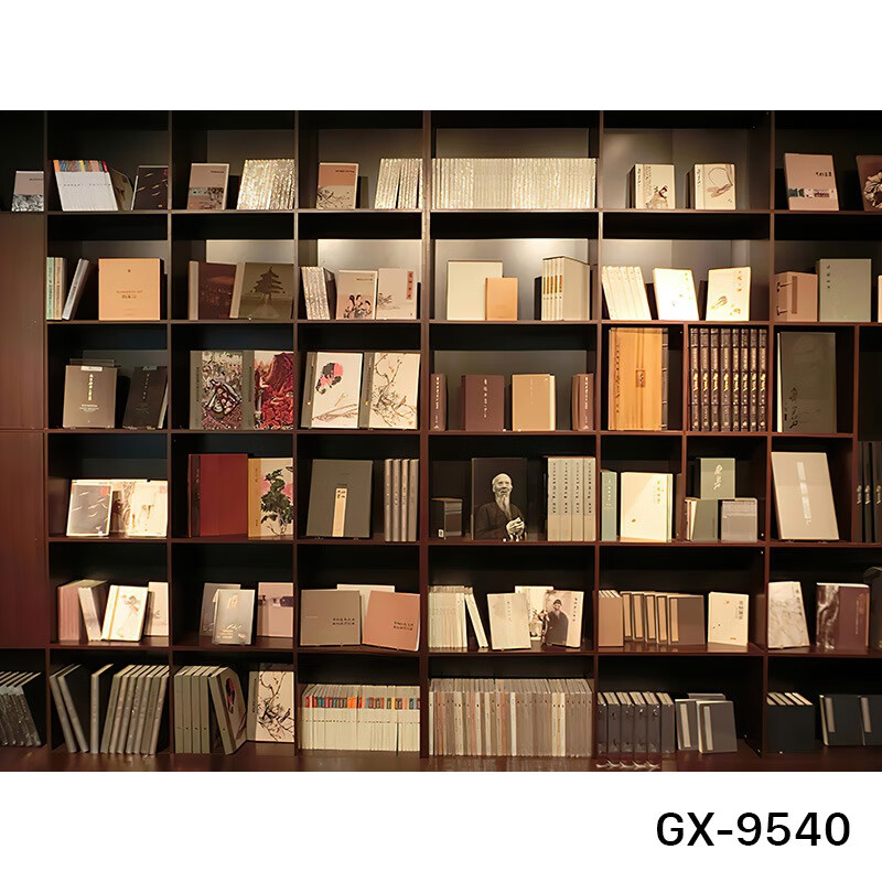 间书房书柜书架装饰背景墙图3d立体直播背景感网红装饰布置主播专用