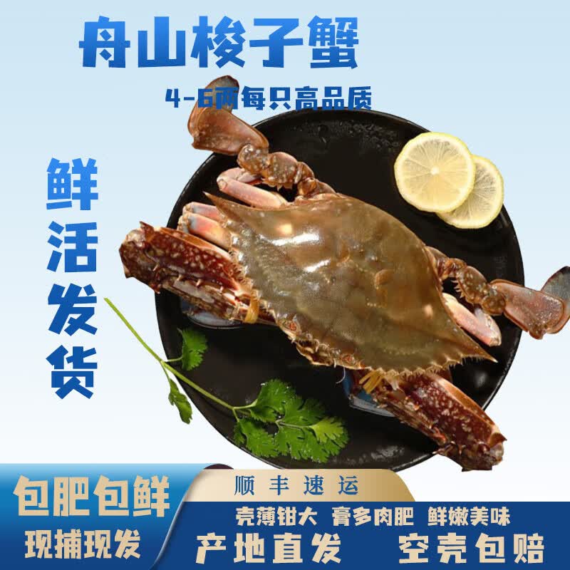 【活蟹】 舟山鲜活超大梭子蟹 螃蟹鲜活【鲜活发货】可清蒸白蟹 3斤尝鲜装 鲜活发货【4-6两每只高性价比高么？