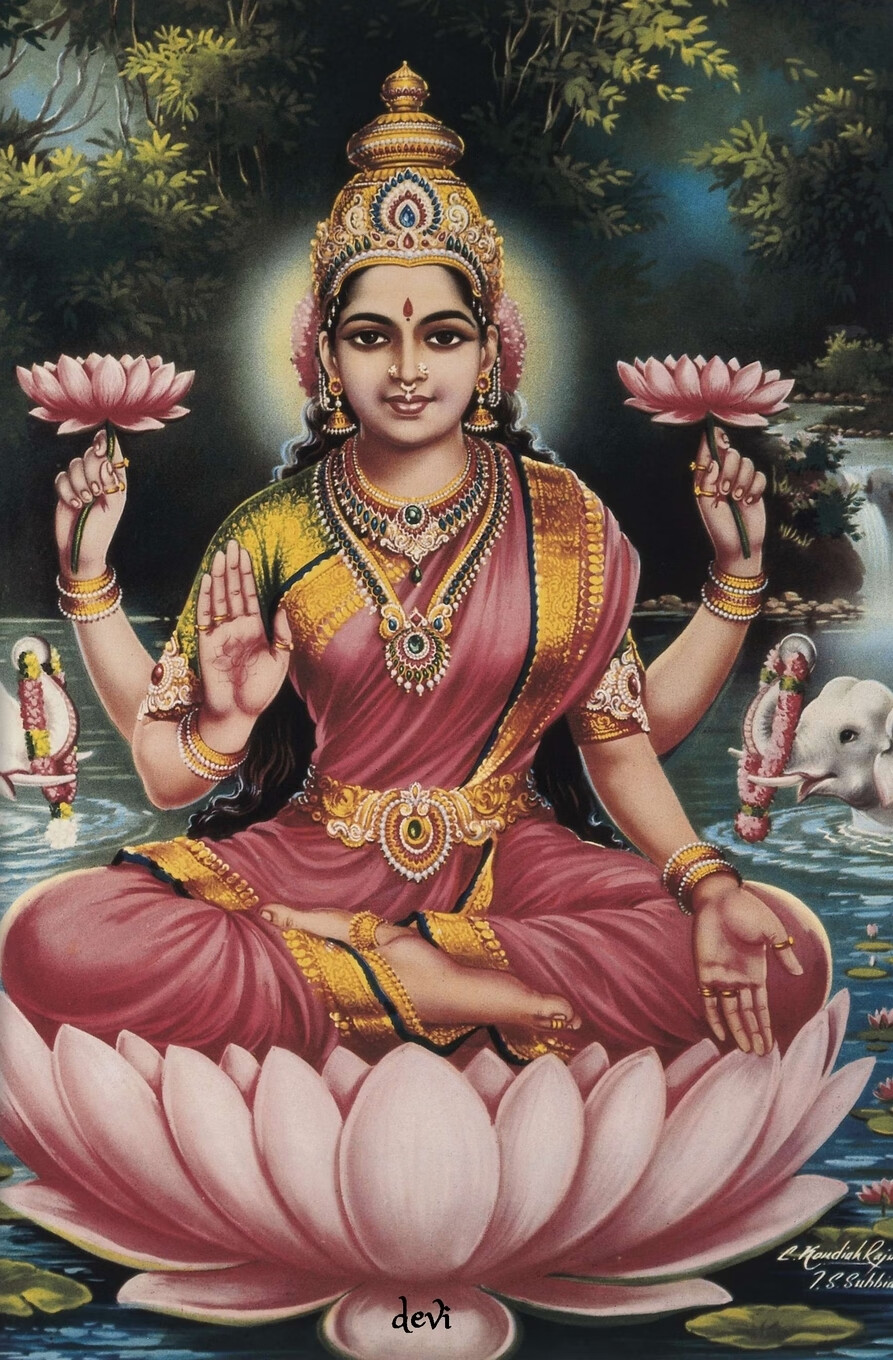 【预售按需印刷】devi