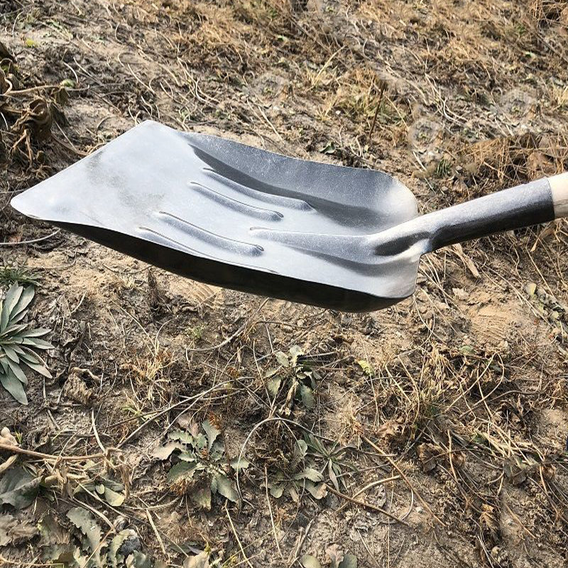 特大加宽农用锰钢锹俄式大方大铁铲大号超大号平口铲煤清粪大铲子
