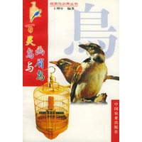 百灵鸟与画眉鸟【放心选购】