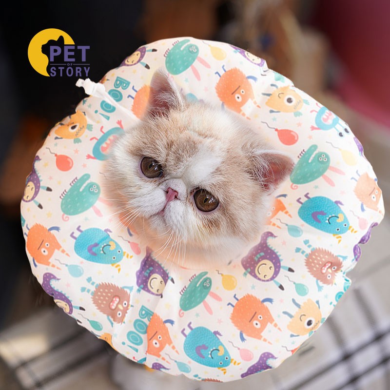 宠物牵引绳和胸背带，petofstory品牌值得购买|京东可以看牵引绳胸背带历史价格吗