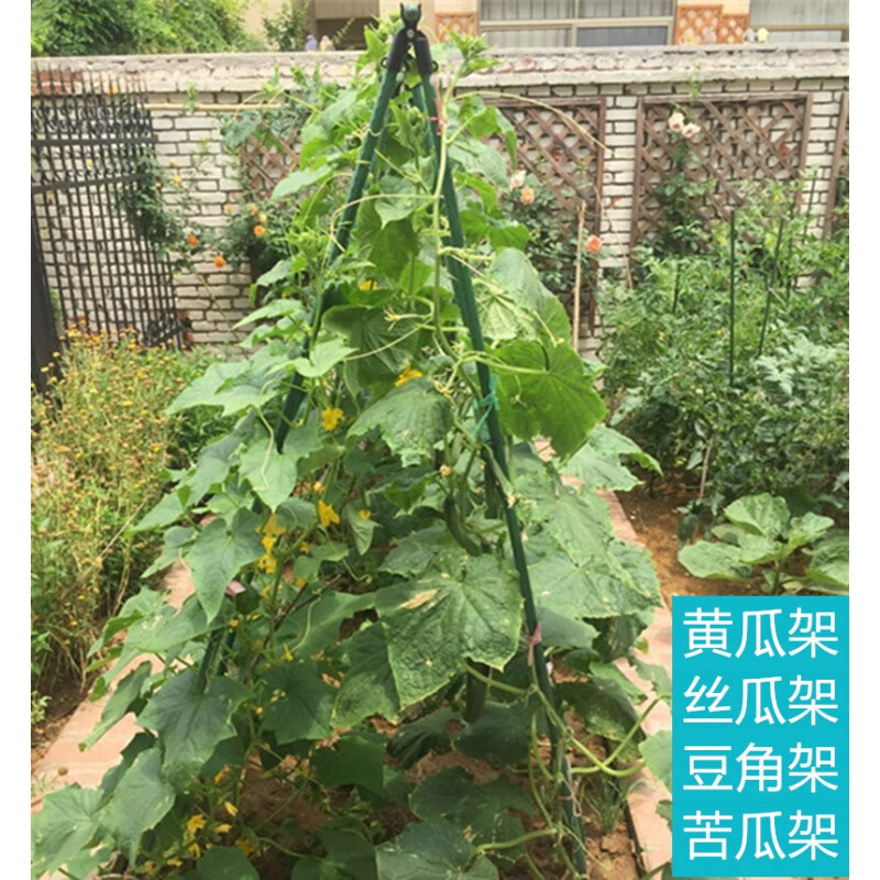云珀菜地支架园林花支架蔬菜种植支撑架豆角苦瓜黄瓜爬藤架丝瓜耐用搭