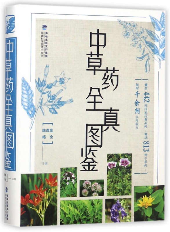 中草药全真图鉴(精)