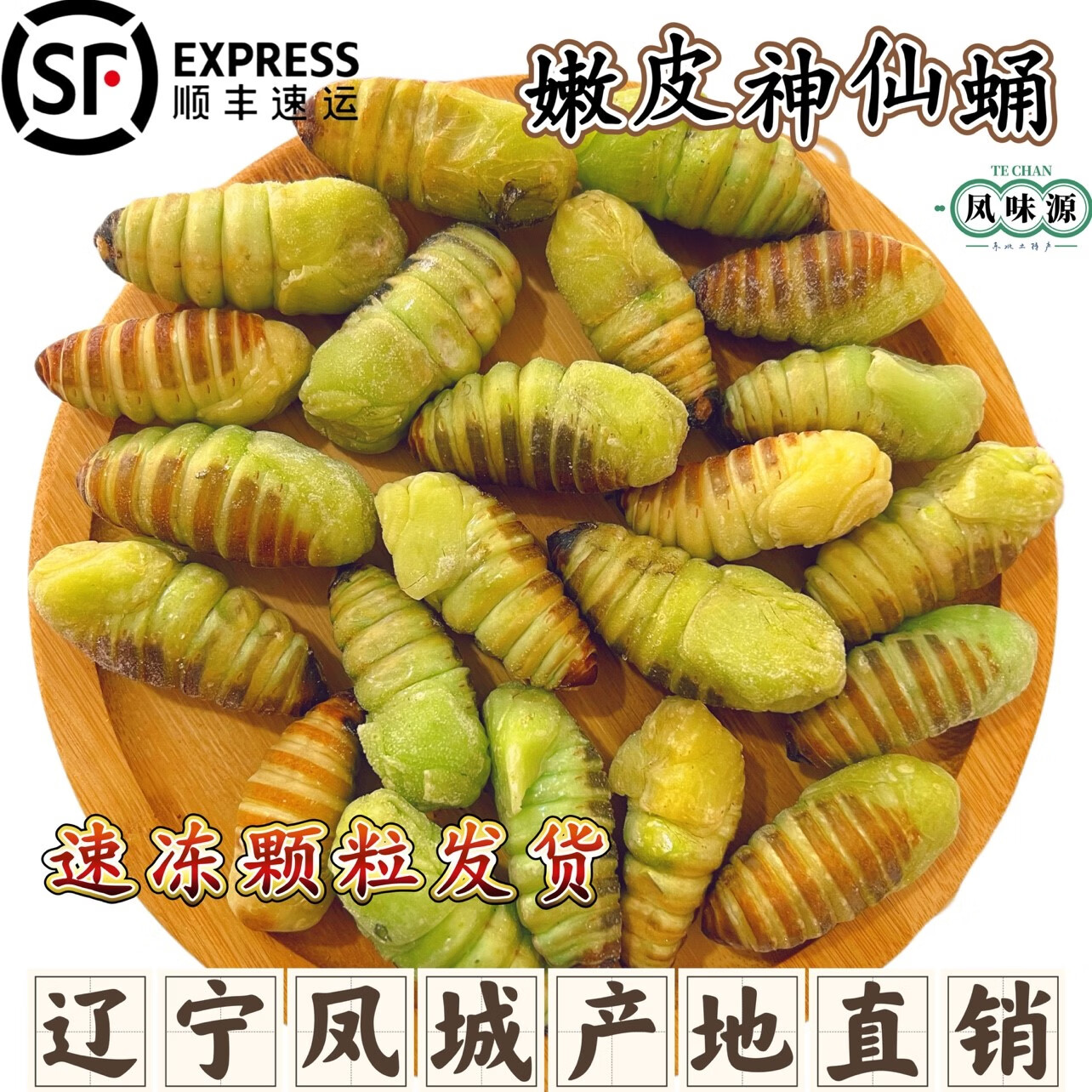tlxt辽宁凤城嫩皮神仙蛹绿皮蚕蛹东北小神仙蛹新鲜神仙蛹速冻顺丰