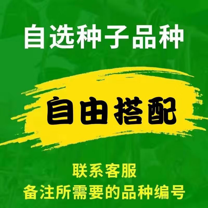 上百种蔬菜种子四季菜种子香菜辣椒西瓜生菜茄子种子阳台庭院 省心选26包随机不重复 多品种任意选怎么样,好用不?