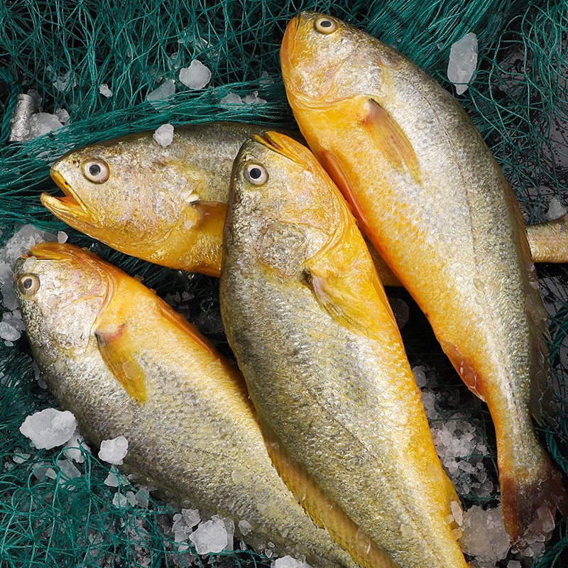 水产海鲜品牌排行榜