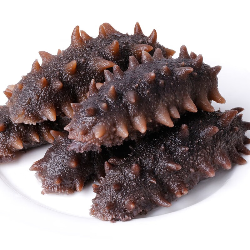 喵小萱即食海参长岛海参 鲜食温和滋补商务送礼送父母 500g（8-15头）