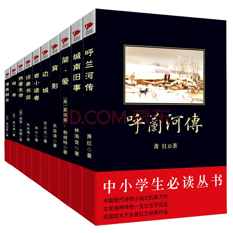 中小学阅读丛书精选：城南旧事+呼兰河传+简爱+背影+边城+寄小读者+谈美书简等（世界文学精选A 套装共10册）