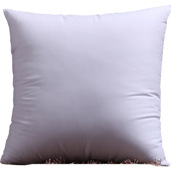 ޱҷ ߵɳо о 칫ҿо45*45cmֻװ