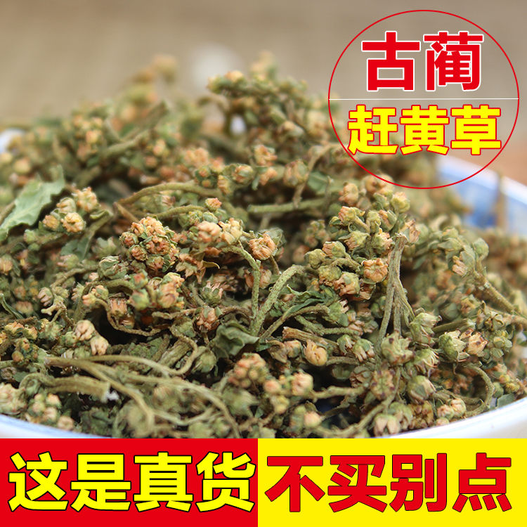 赶黄草赶黄草花配赶黄草叶肝茶四川古蔺赶黄草茶100g/250g沁溪 散装