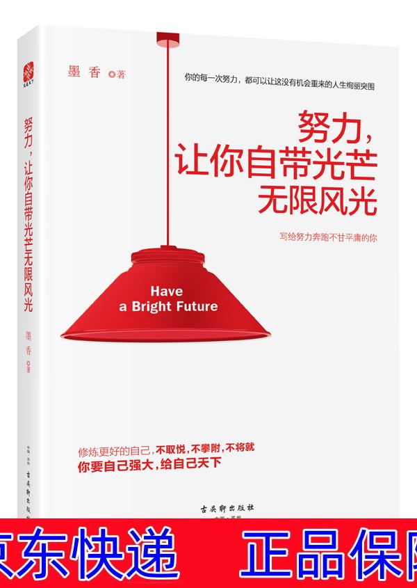 努力,让你自带光芒无限风光 励志与成功 心灵鸡汤类书籍 努力让你自带