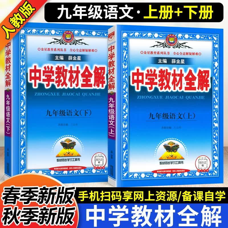 薛金星中学教材全解九年级上下册语文全解 初三9年级全一册语文教材全解同步课本解析解读