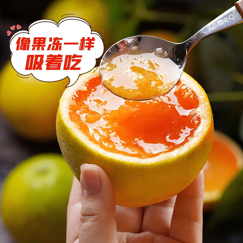 秭橙贡【京东快递】现摘现发正宗秭归九月红果冻橙子新鲜手剥当季水果 大果(70mm以上) 净重5斤|京东快递