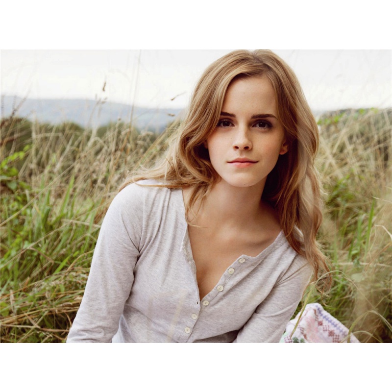 狼天影 艾玛沃特森海报墙贴画赫敏emma watson哈利波特美女与野兽宿舍