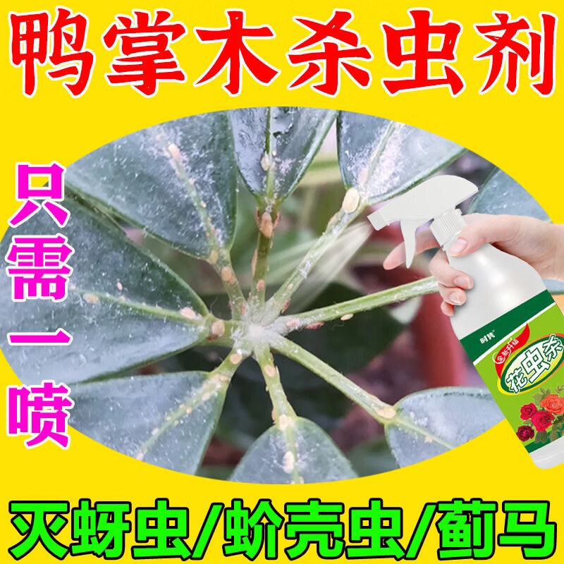 鸭掌木白粉虱红蜘蛛蚧壳虫蚜虫花卉强效除虫喷剂 鸭脚木花虫杀【1瓶】