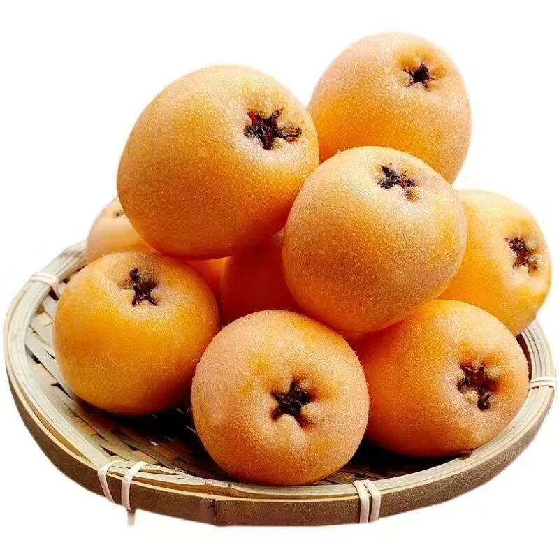 OLOEY�Ĵ�������������ˮ���������˹� 2�ݺϷ�һ�� ��ѡ���� ����40-50�� ��������2��װ ����1.5�� 22.98Ԫ