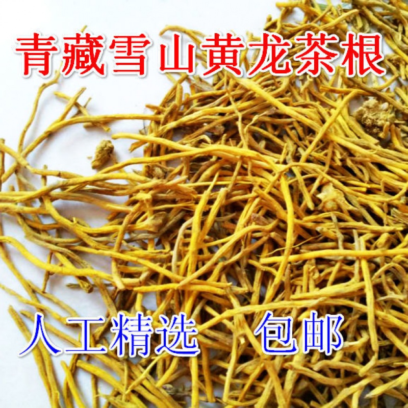 青藏雪山黄龙草根须条黄龙茶黄龙头颗粒人工精选龙须草根养生散装黄龙