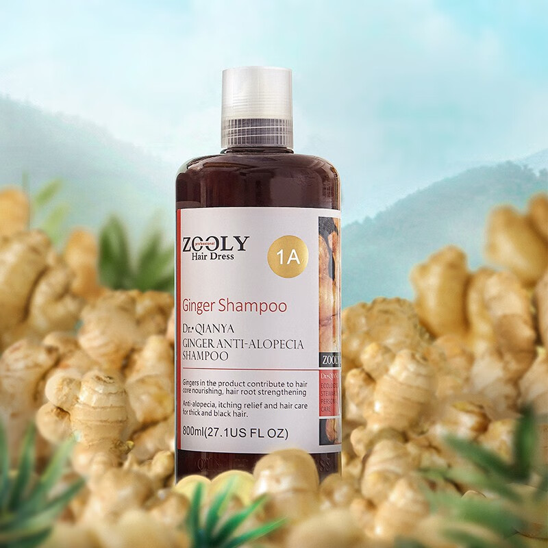 卓蓝雅(ZOOLY)生姜防脱发育发洗发水控油无硅油洗发露男女士通用洗头膏 强根健发生姜洗发水800ml