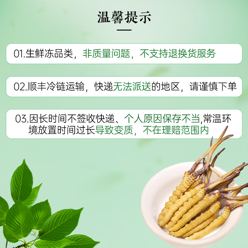 藏汐堂【2026年头茬鲜草】新鲜冬虫夏草 头期鲜虫草 滋补营养品 0.6克/条 15条*1盒