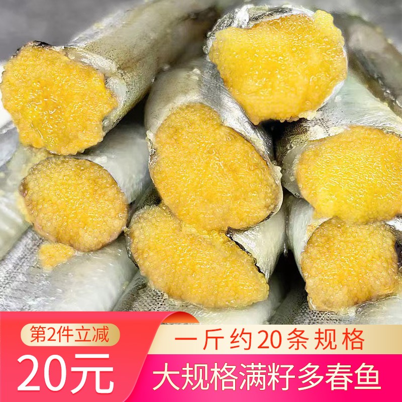 碟岛鲍哥海鲜冷冻多春鱼满籽大多籽鱼冻干海鱼烧烤食材14-16条大规格