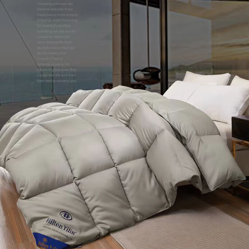 元族希尔顿星级酒店全棉加厚保暖羽丝绒被冬季被芯冬天被子冬被8-10斤 深灰银--希尔顿被子（新款） 200*230cm（8斤）