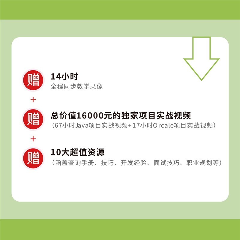 C语言从入门到精通 第4版（异步图书出品）