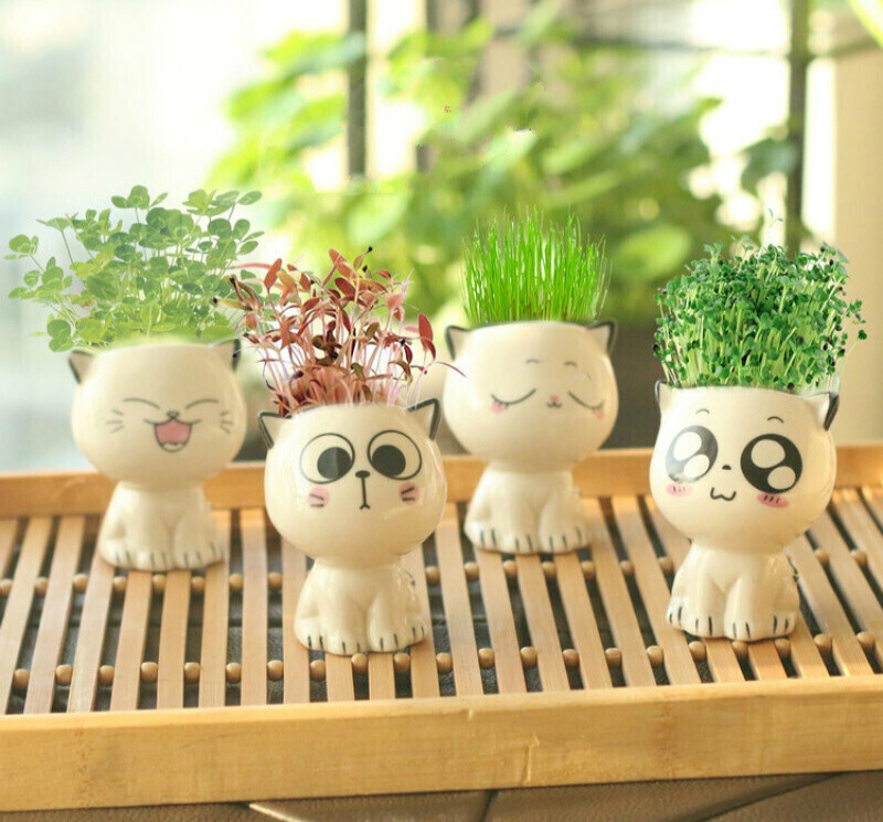 儿童种植小盆栽摆件桌面迷你可爱草头娃娃diy自种长草植物z2 爱情草