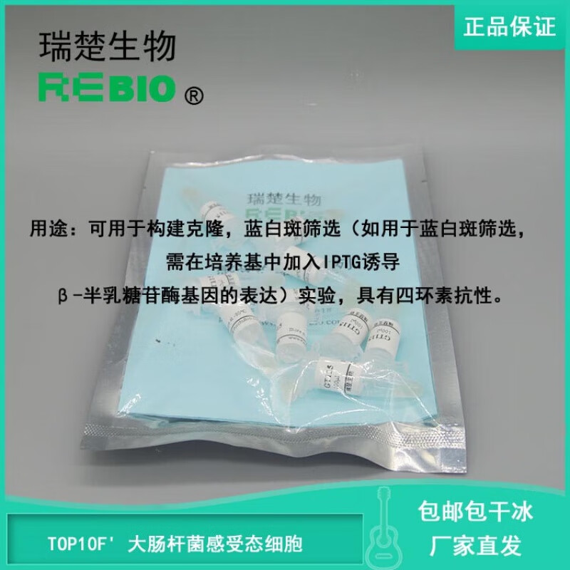 包干冰含票 top10fos 大肠杆菌感受态细胞 10支