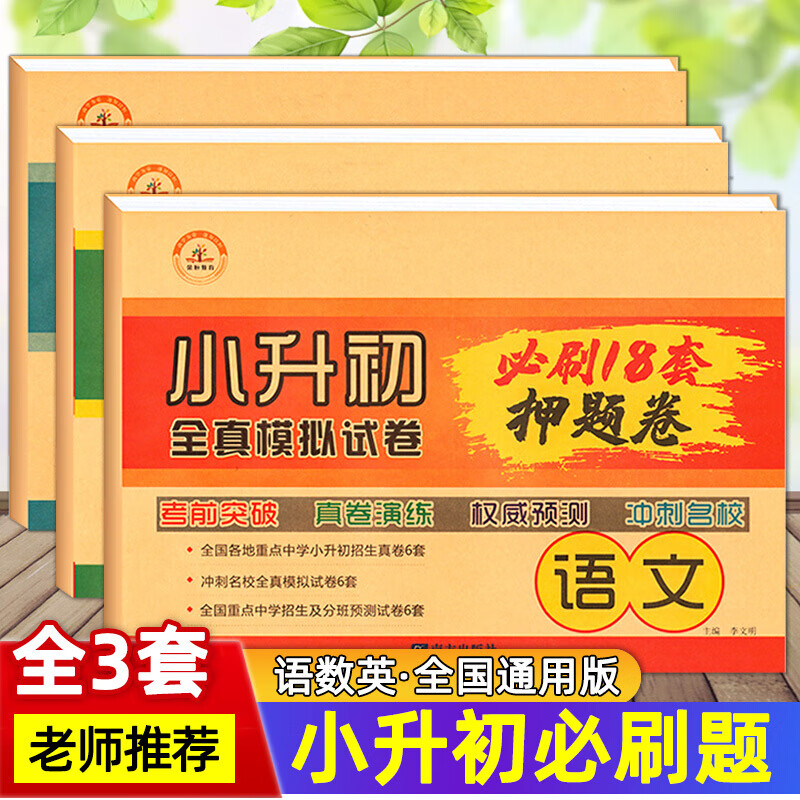 正版正版正规可选】小升初真题卷押题卷小学升学总复习必刷题语文 数学 英语人教版六年级毕业复习衔接初中全真押题密卷 小升初语文数学英语试卷套装