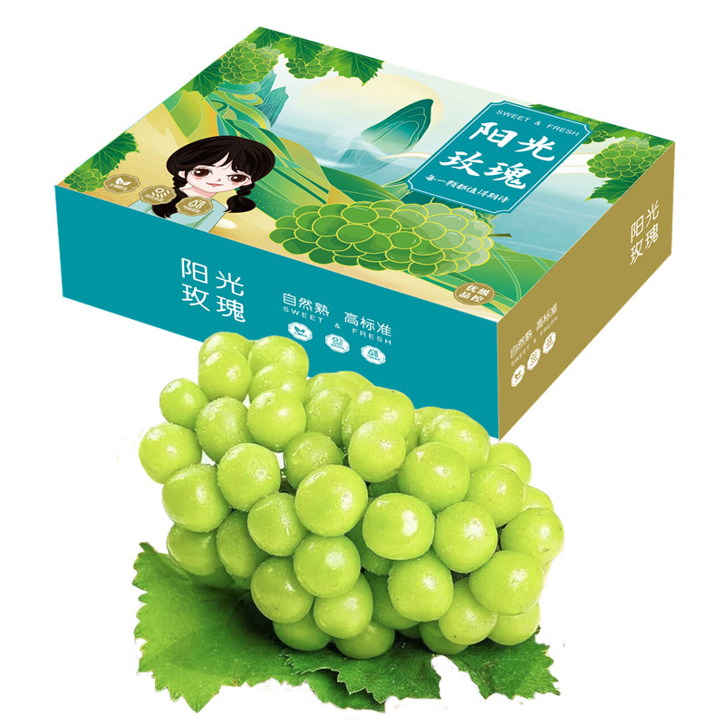 葡萄提子价格分析助手|葡萄提子价格比较