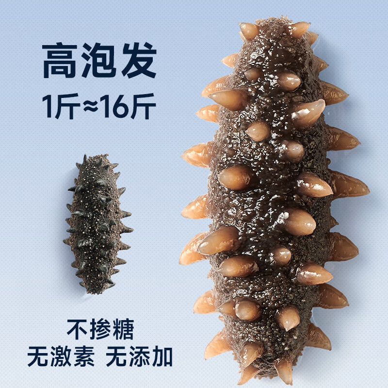 久年【国标15倍泡发】大连淡干海参干货 辽刺参250g30-45头 端午礼盒