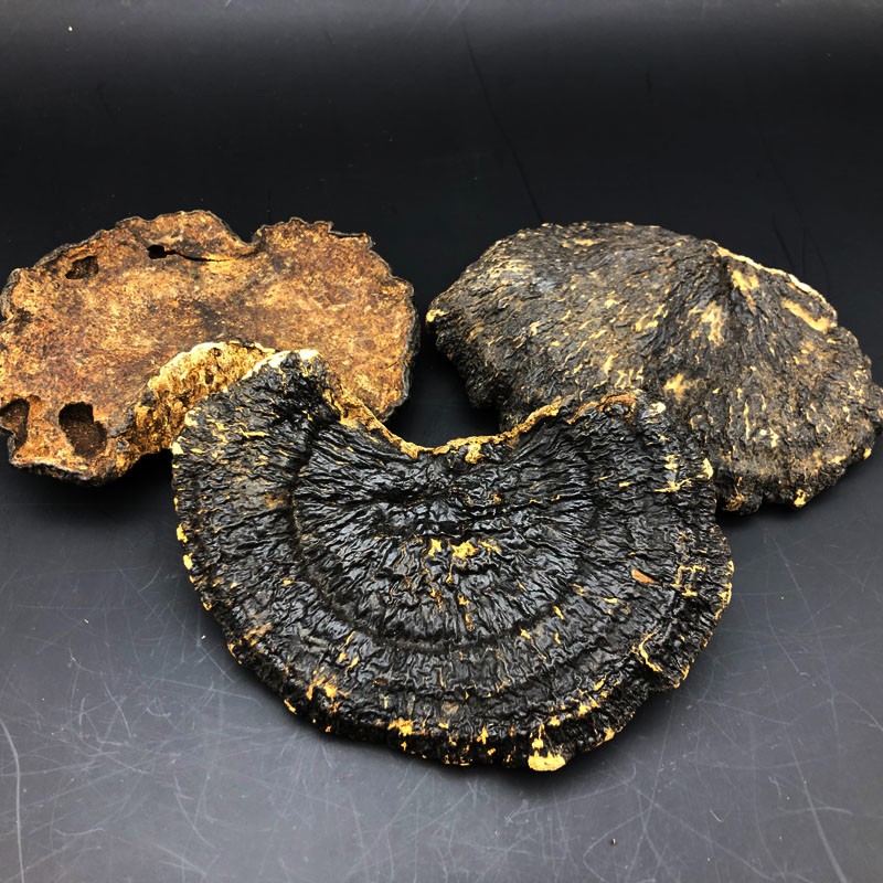 【源头保正】山滋情长白山野外深山生岢高海拔灵芝250克干品可切片