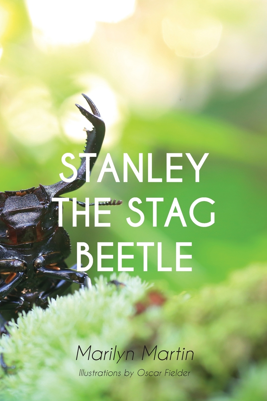 【预售 按需印刷】stanley the stag beetle