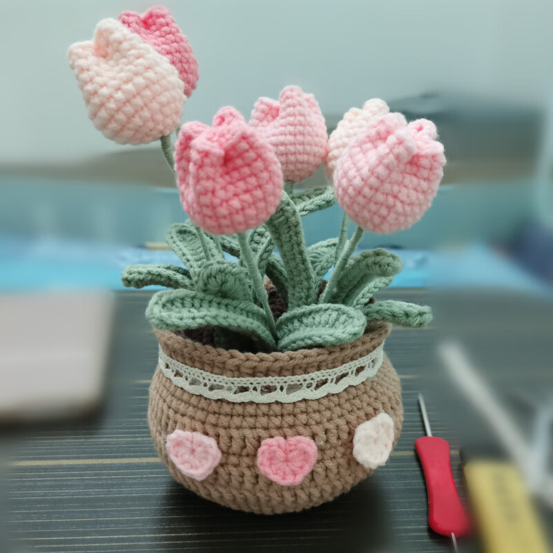 妙普乐diy手工编织花盆 rlk手工diy编织盆栽花束钩针毛线材料包自制