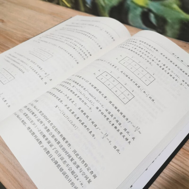 概率数据结构与算法：面向大数据应用详情图