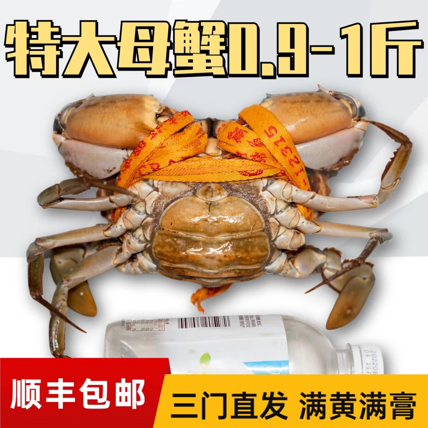 【活蟹】菲尚谷 正宗三门青蟹 鲜活大红母膏蟹生鲜水产送礼盒装 母
