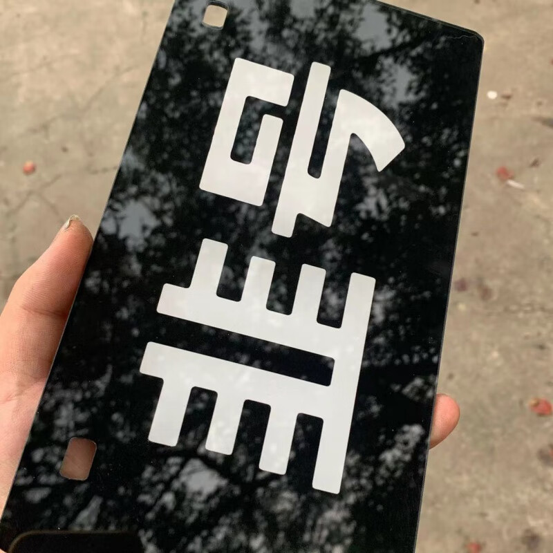 车爱人(cheairen)电摩发光车牌发九号小牛反光尾牌个性搞笑镜面车牌韭