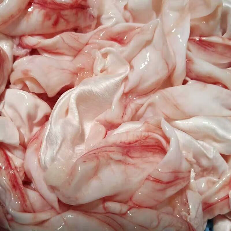 安峰山鱼泡新鲜新鲜鲜活草鱼泡冷冻水产鱼泡泡白鱼鳔鱼泡鱼鱼肚 小鱼