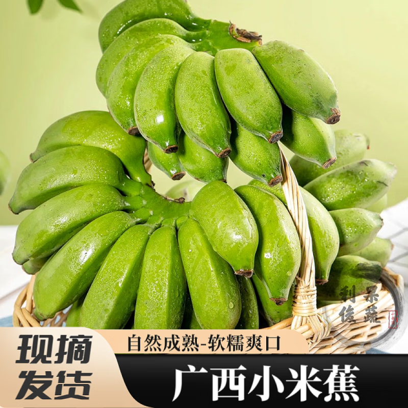 青惠悠广西小米蕉新鲜自然熟糯米香蕉绿皮珍珠芭蕉热带水果海南皇帝焦 3斤净重(约15-25根)
